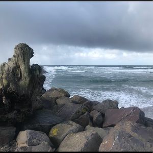 Meet your Posher, Susie